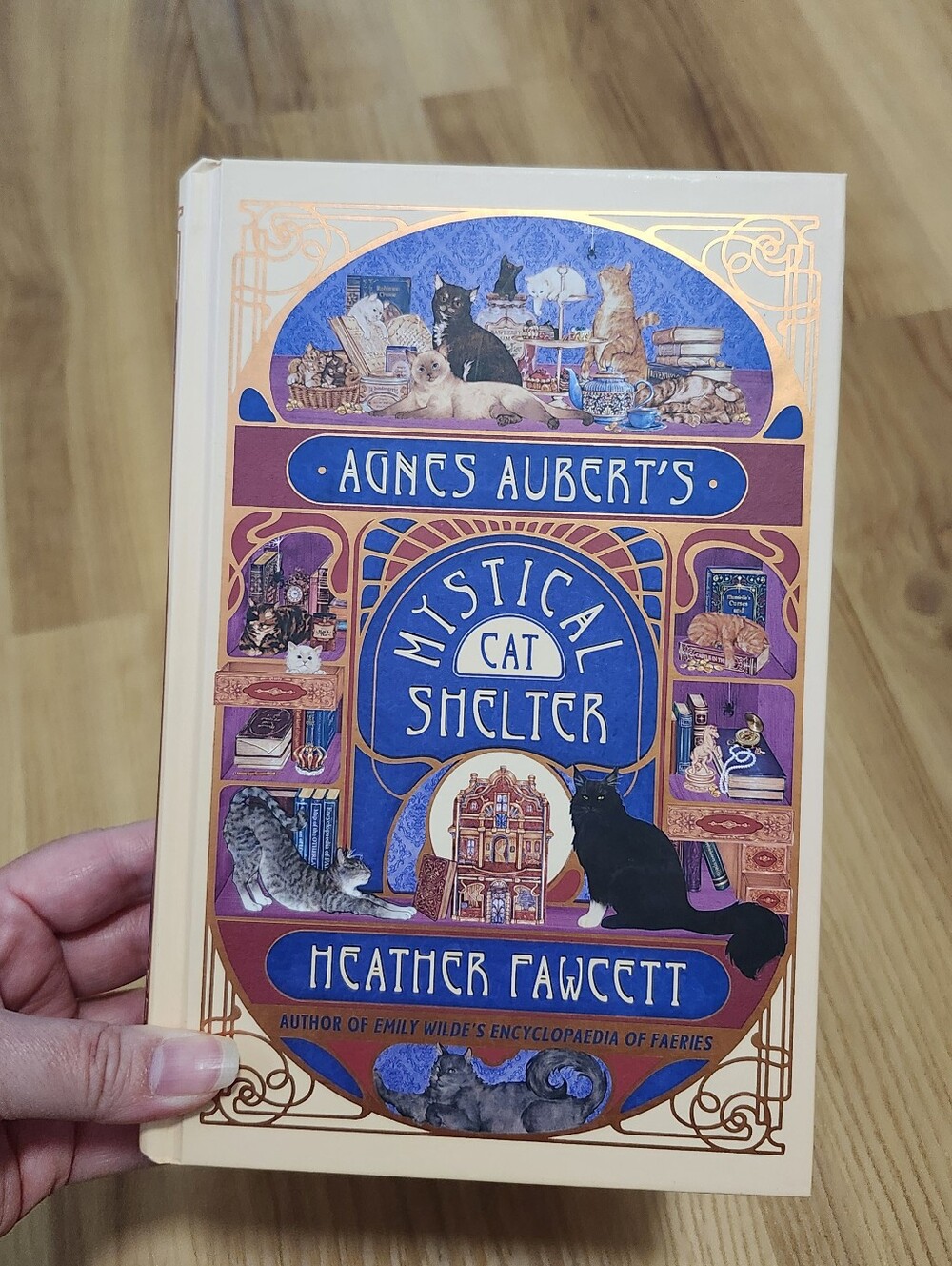 Agnes Aubert's Mystical Cat Shelter - by Heather Fawcett (Hardcover) First Print